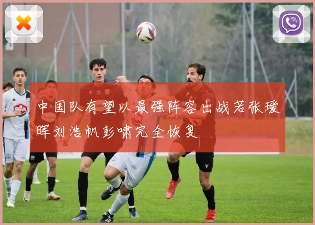 中国队有望以最强阵容出战若张瑷晖刘浩帆彭啸完全恢复